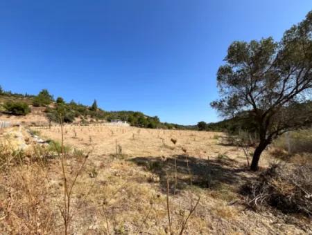 Ideal Plot For Nature Lovers! 7600 M² Vineyard House And Olive Grove Next To Kavakdere Dam