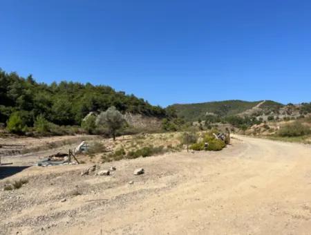 Ideal Plot For Nature Lovers! 7600 M² Vineyard House And Olive Grove Next To Kavakdere Dam