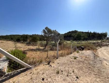 Ideal Plot For Nature Lovers! 7600 M² Vineyard House And Olive Grove Next To Kavakdere Dam