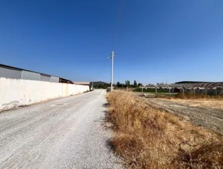 5300 M² Land Suitable For Efficient Agriculture And Animal Husbandry In Seferihisar Düzce District!