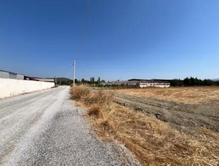 5300 M² Land Suitable For Efficient Agriculture And Animal Husbandry In Seferihisar Düzce District!