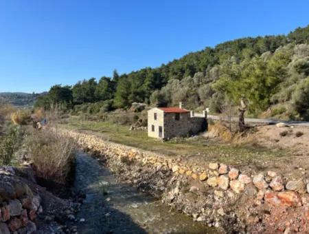 Stone House And Olive Grove In 1800 M² Plot In Seferihisar Kavakdere