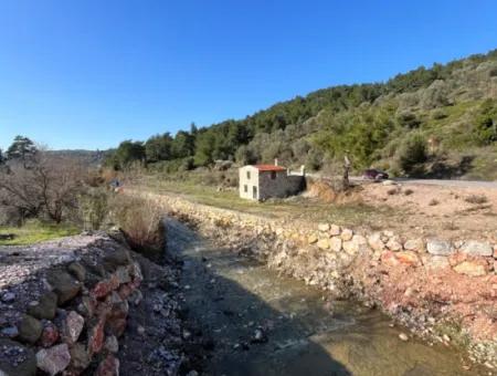 Stone House And Olive Grove In 1800 M² Plot In Seferihisar Kavakdere