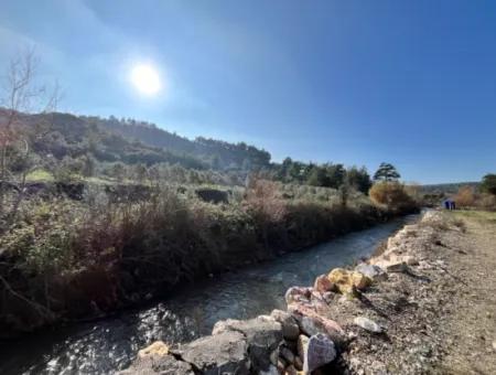 Stone House And Olive Grove In 1800 M² Plot In Seferihisar Kavakdere