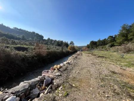 Stone House And Olive Grove In 1800 M² Plot In Seferihisar Kavakdere