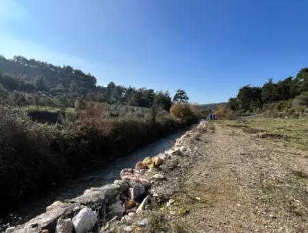 Stone House And Olive Grove In 1800 M² Plot In Seferihisar Kavakdere