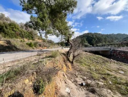 Stone House And Olive Grove In 1800 M² Plot In Seferihisar Kavakdere