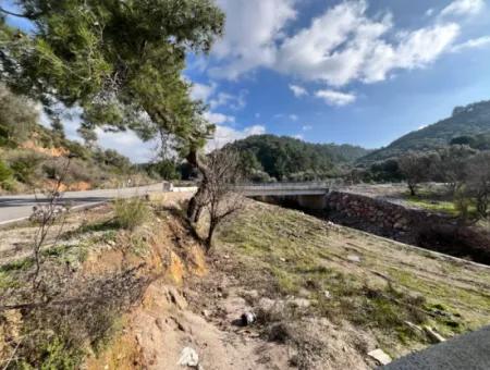 Stone House And Olive Grove In 1800 M² Plot In Seferihisar Kavakdere