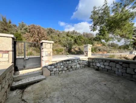 Stone House And Olive Grove In 1800 M² Plot In Seferihisar Kavakdere