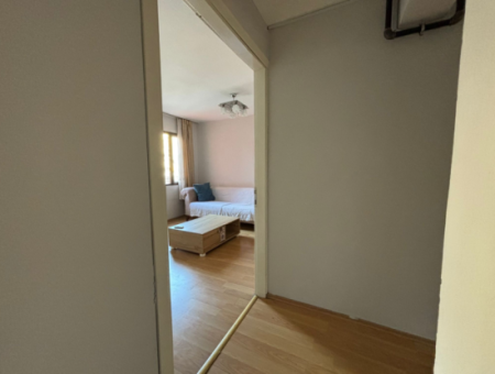 Furnished Apartment For Rent In Bucada With Renovated Natural Gas Combi Boiler Air Conditioning High Entrance Parking Problem