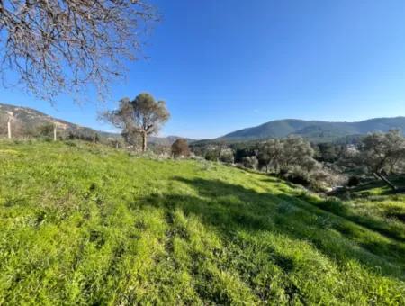 10.000 M² Cadastral Road Front, Panoramic Nature View Land For Sale In Orhanlı, Seferihisar