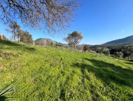 10.000 M² Cadastral Road Front, Panoramic Nature View Land For Sale In Orhanlı, Seferihisar