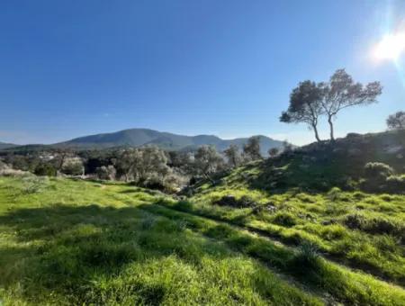 10.000 M² Cadastral Road Front, Panoramic Nature View Land For Sale In Orhanlı, Seferihisar