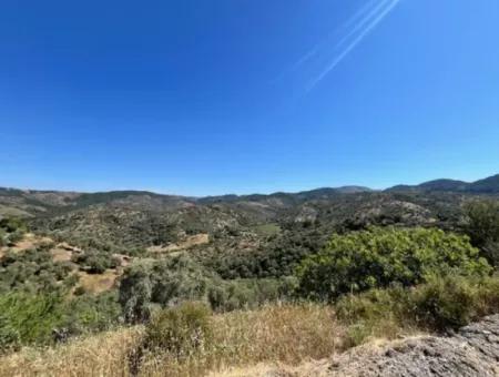 Land Suitable For Living And Investment With Main Road Front In Seferihisar Beyler