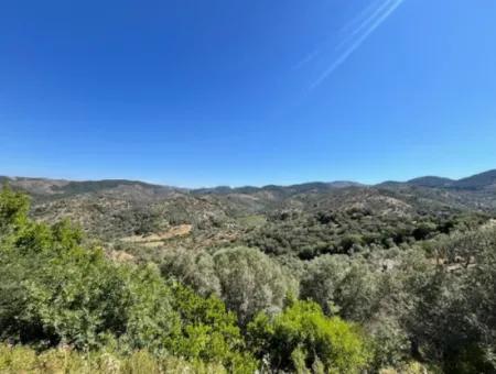 Land Suitable For Living And Investment With Main Road Front In Seferihisar Beyler