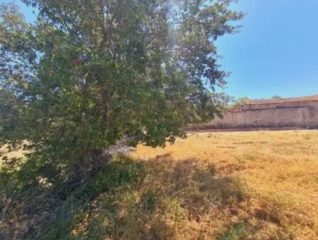 1000M2 Zoned Land In Seferihisar Ulamış