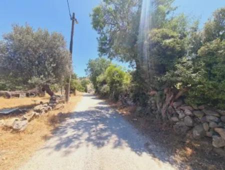 1000M2 Zoned Land In Seferihisar Ulamış