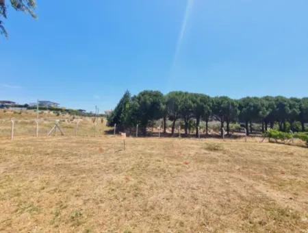 500M2 -20 Zoned Land For Sale In Seferihisar Akarca