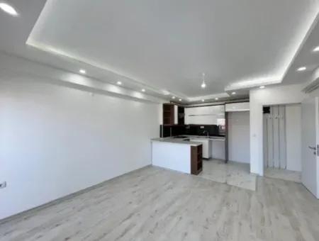 2 1 Island Brand New Apartment With Kitchen In A Complex