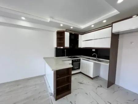 2 1 Island Brand New Apartment With Kitchen In A Complex