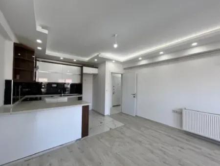 2 1 Island Brand New Apartment With Kitchen In A Complex