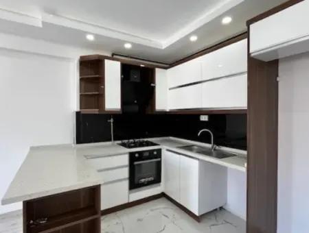 2 1 Island Brand New Apartment With Kitchen In A Complex