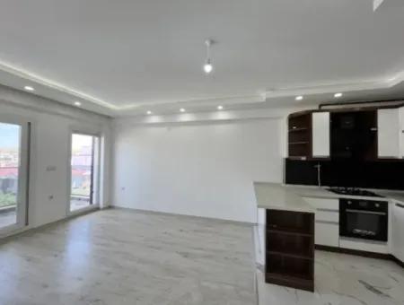 2 1 Island Brand New Apartment With Kitchen In A Complex