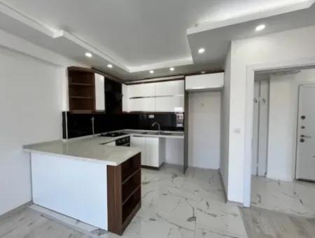 2 1 Island Brand New Apartment With Kitchen In A Complex