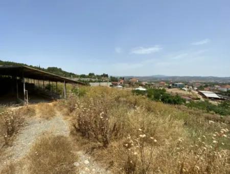 4.189 M2 Field For Sale Suitable For Investment In Seferihisar Turgut Village