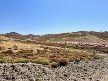 15/30 Zoned Land For Sale In 600M2 New Zoning Zone In Seferihisar Çolakibrahim