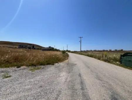 445M2, 15/30 Zoned Land For Sale Near Yeni Sığacık Road