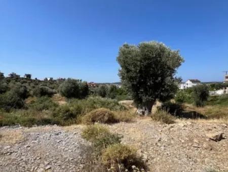 305M2, 15/30 Zoned Ready Land In Sığacık Girlen