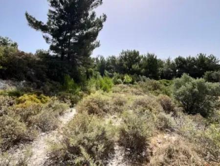 20 Acres Of Land Close To Zoning On Uzbek Road In Urla Rustam