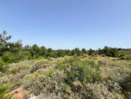 20 Acres Of Land Close To Zoning On Uzbek Road In Urla Rustam