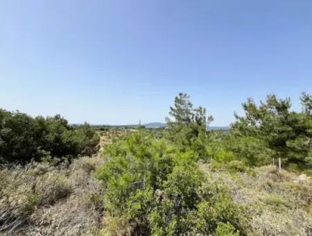 20 Acres Of Land Close To Zoning On Uzbek Road In Urla Rustam