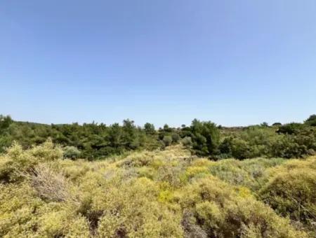 20 Acres Of Land Close To Zoning On Uzbek Road In Urla Rustam