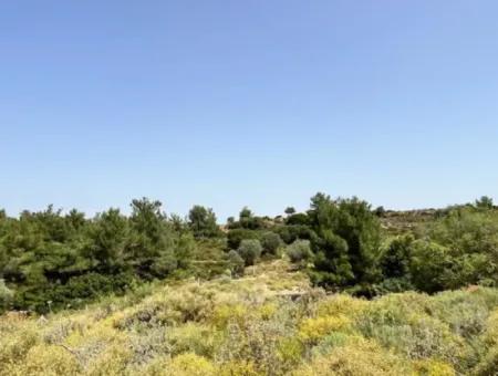 20 Acres Of Land Close To Zoning On Uzbek Road In Urla Rustam