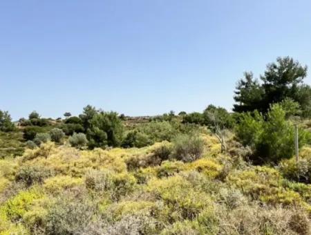 20 Acres Of Land Close To Zoning On Uzbek Road In Urla Rustam