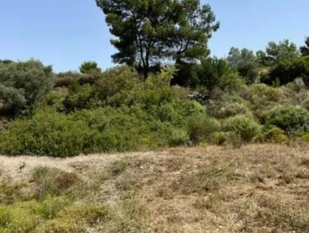 20 Acres Of Land Close To Zoning On Uzbek Road In Urla Rustam