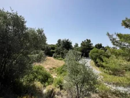 20 Acres Of Land Close To Zoning On Uzbek Road In Urla Rustam