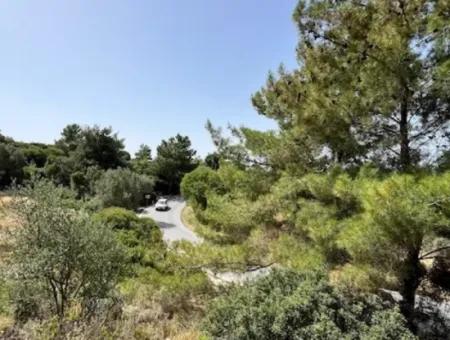 20 Acres Of Land Close To Zoning On Uzbek Road In Urla Rustam