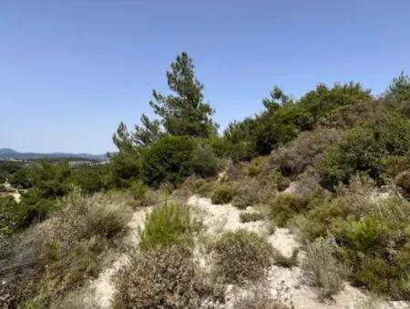 20 Acres Of Land Close To Zoning On Uzbek Road In Urla Rustam