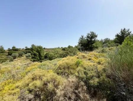 20 Acres Of Land Close To Zoning On Uzbek Road In Urla Rustam