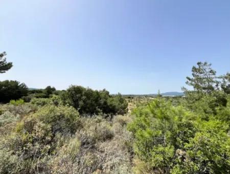 20 Acres Of Land Close To Zoning On Uzbek Road In Urla Rustam