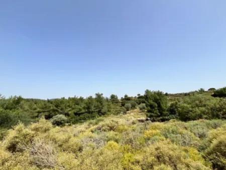 20 Acres Of Land Close To Zoning On Uzbek Road In Urla Rustam