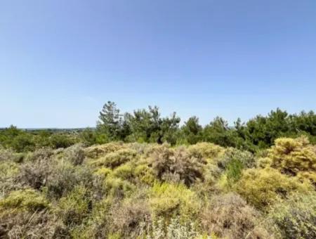 20 Acres Of Land Close To Zoning On Uzbek Road In Urla Rustam