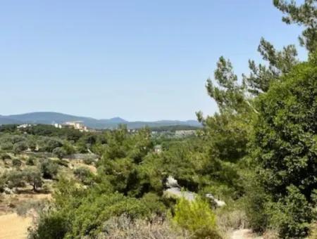 20 Acres Of Land Close To Zoning On Uzbek Road In Urla Rustam