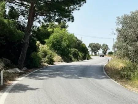 20 Acres Of Land Close To Zoning On Uzbek Road In Urla Rustam