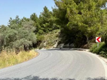 20 Acres Of Land Close To Zoning On Uzbek Road In Urla Rustam