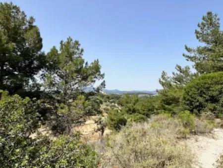 20 Acres Of Land Close To Zoning On Uzbek Road In Urla Rustam